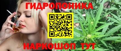 Альфа ПВП Пушкино