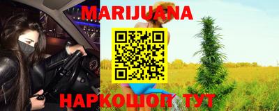 Альфа ПВП Пушкино