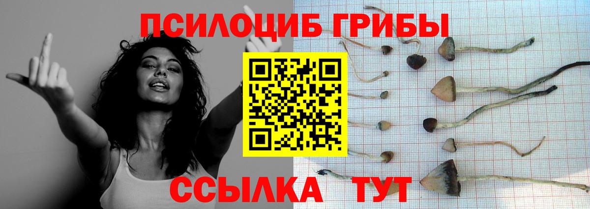 Псилоцибиновые грибы мухоморы Пенза